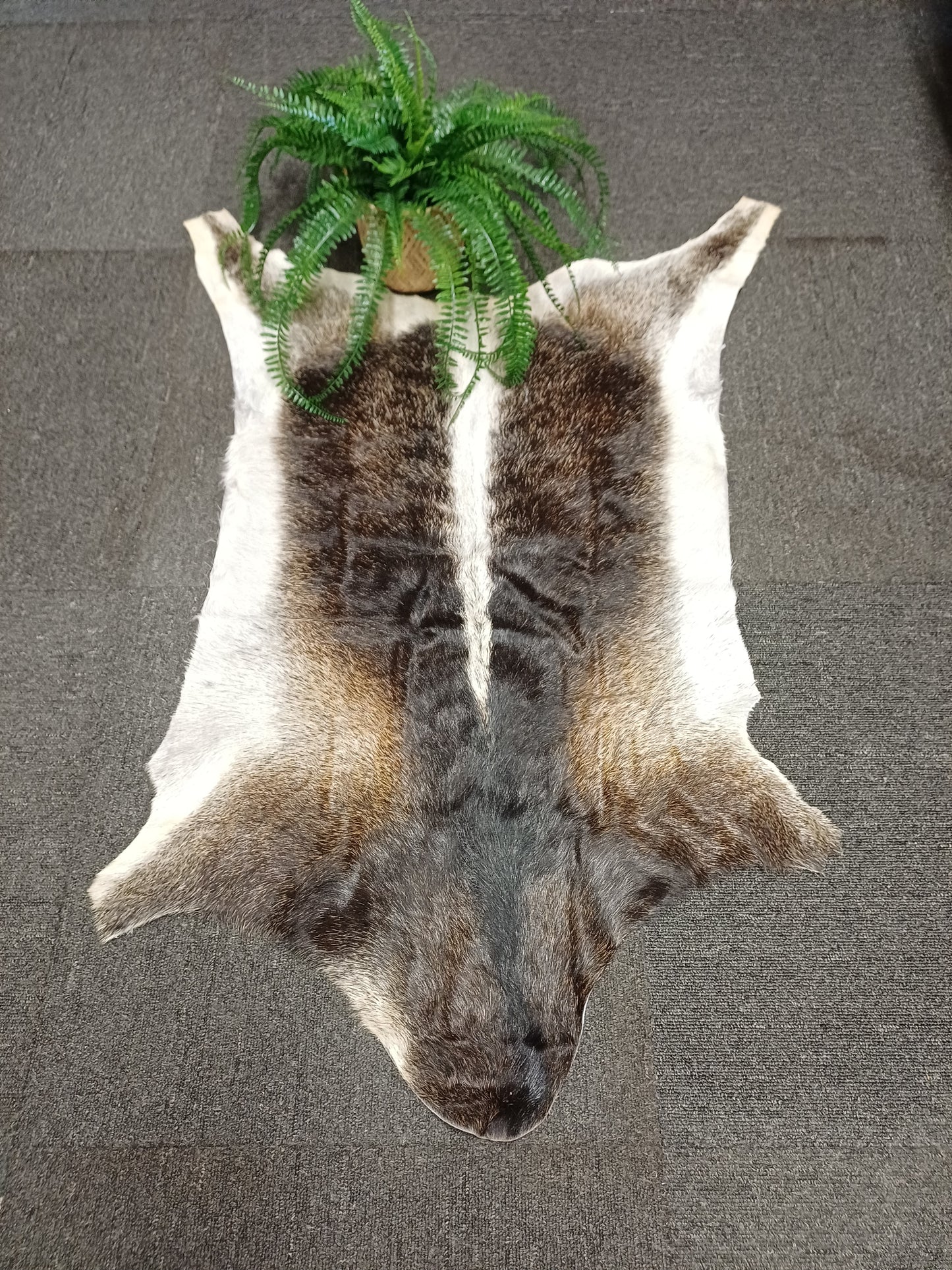 Goatskin
