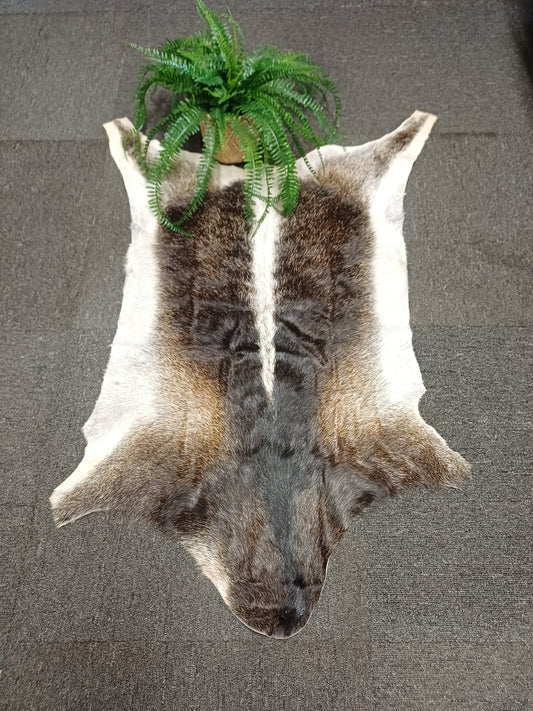 Goatskin