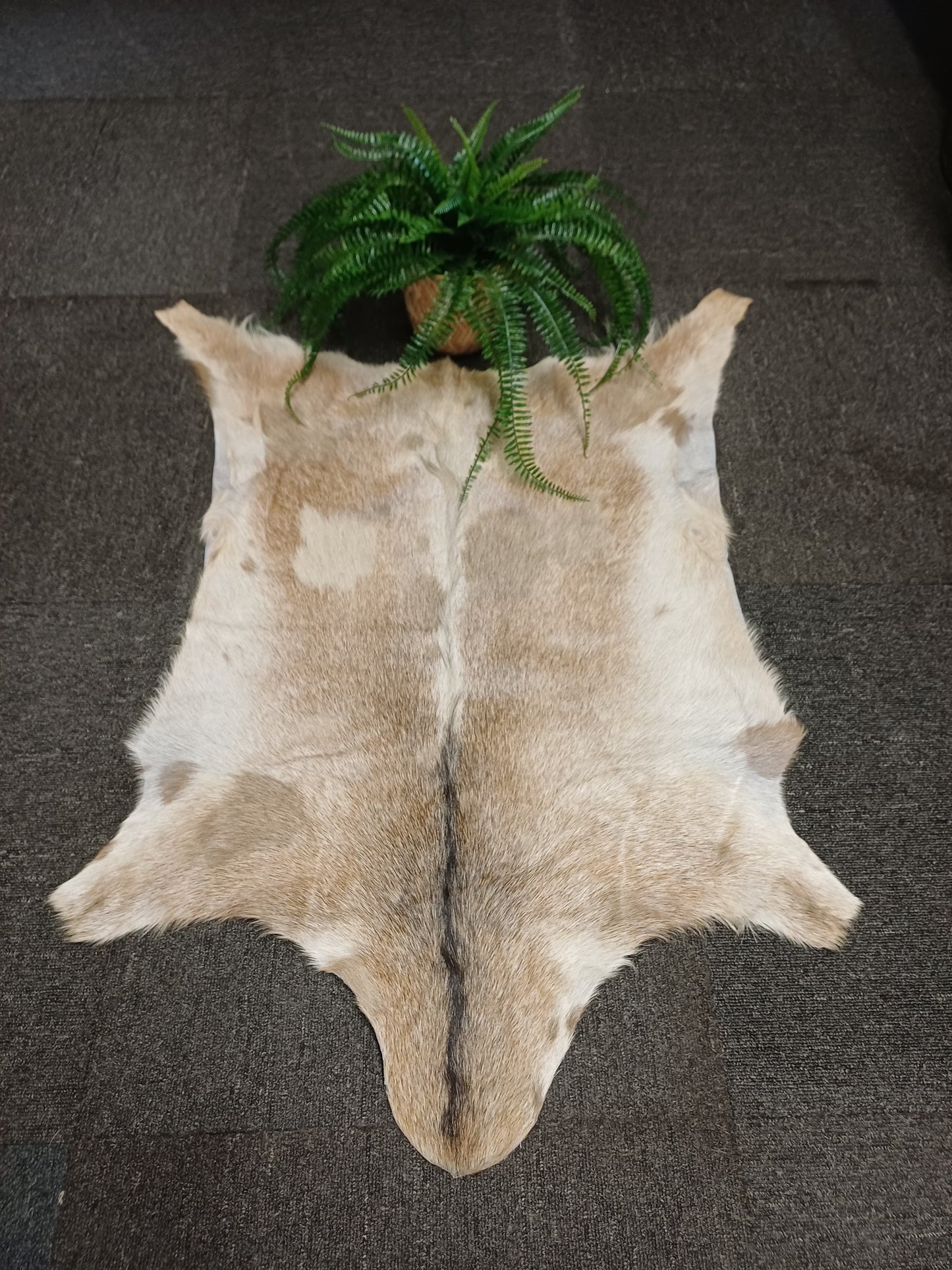 Goatskin