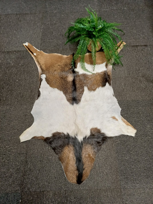 Goatskin