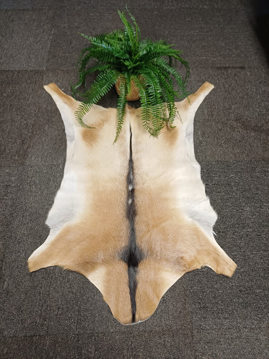 Goatskin