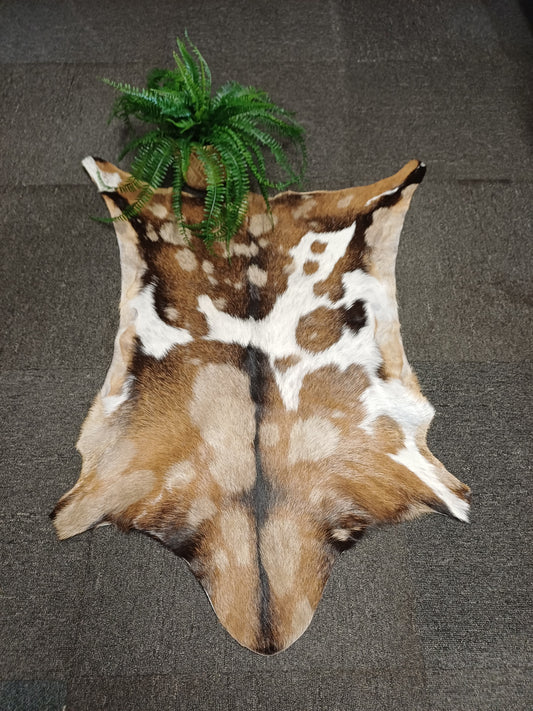 Goatskin