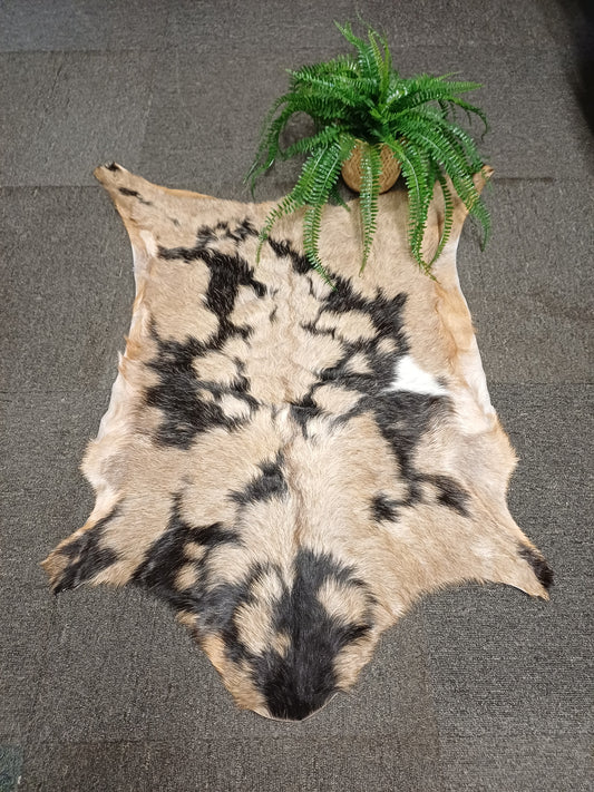 Goatskin