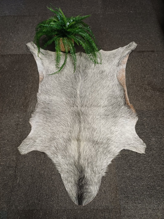 Goatskin