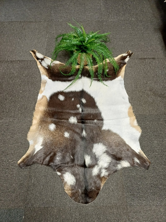 Goatskin