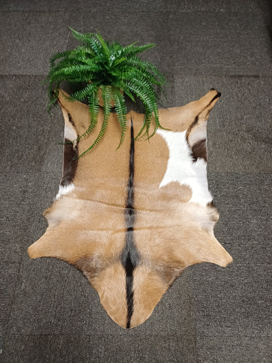 Goatskin