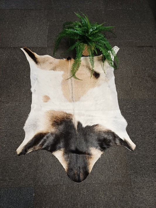 Goatskin