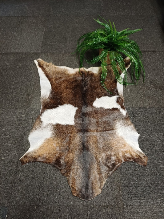 Goatskin