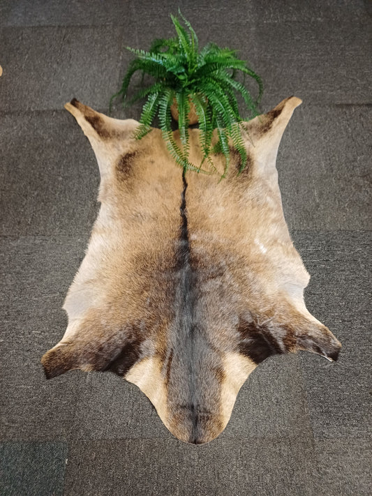 Goatskin