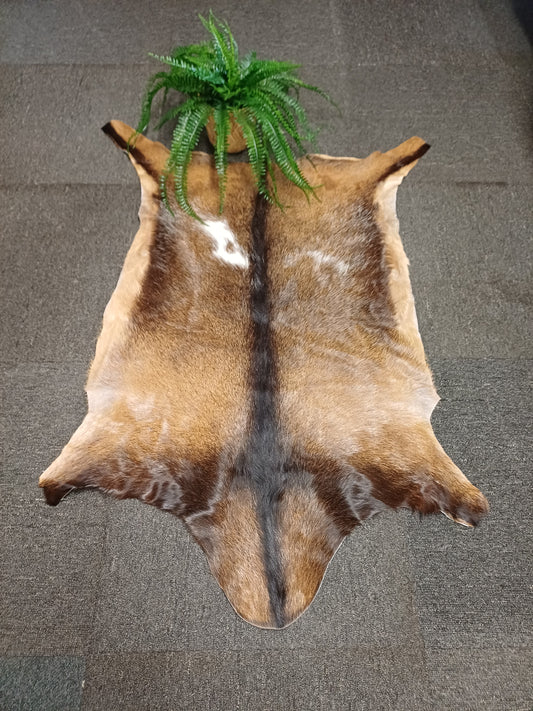 Goatskin