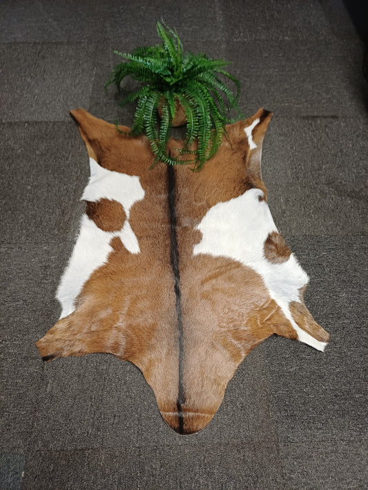 Goatskin
