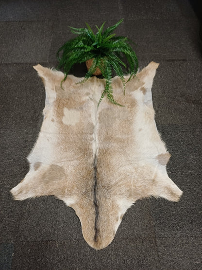 Goatskin