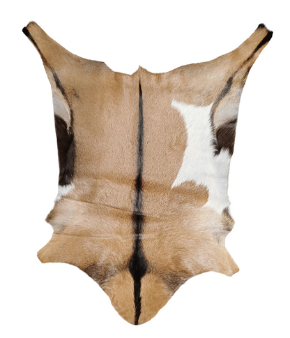 Goatskin