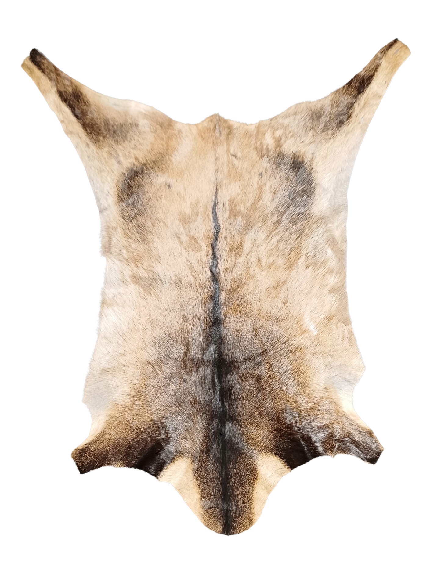 Goatskin