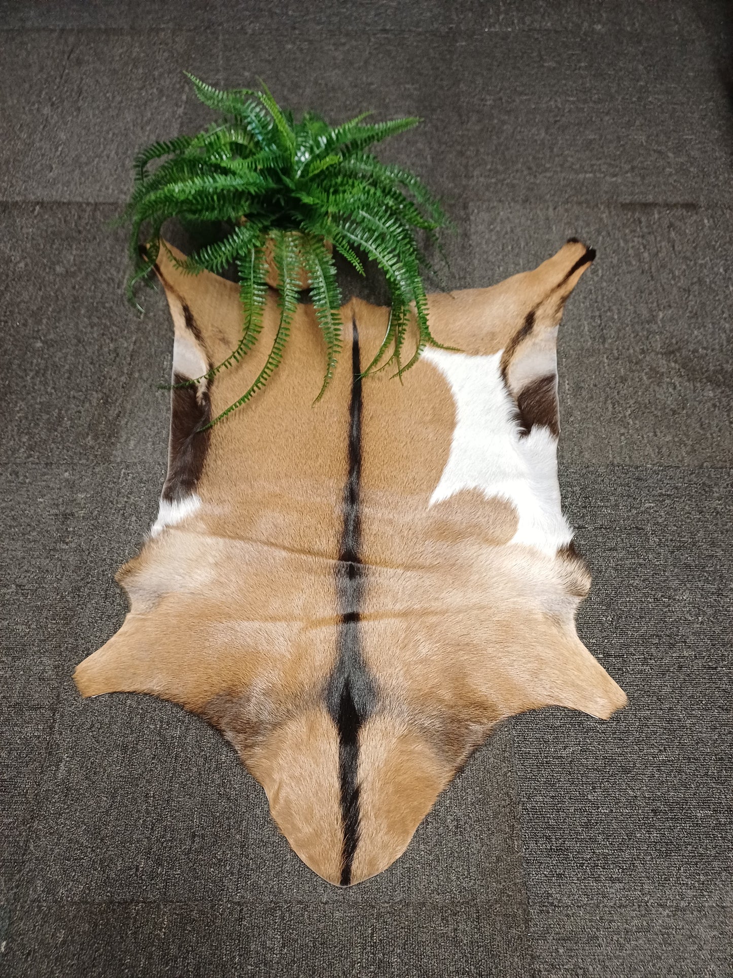 Goatskin