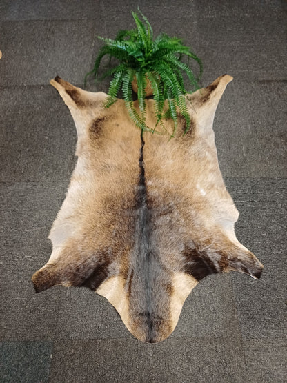 Goatskin