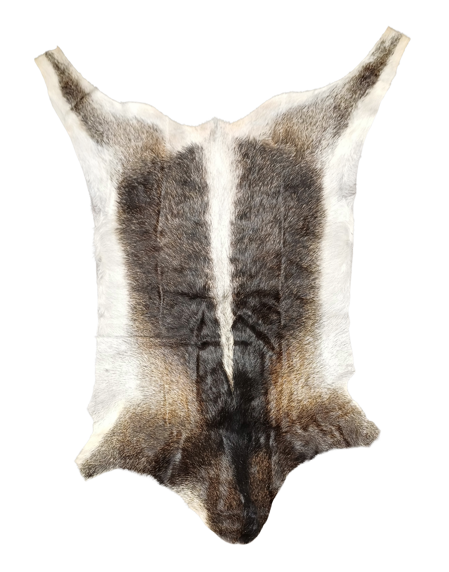 Goatskin