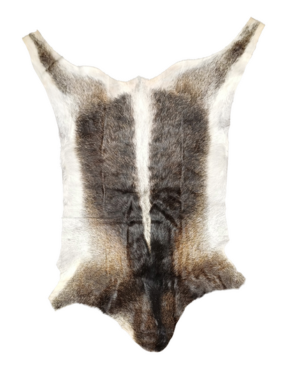 Goatskin