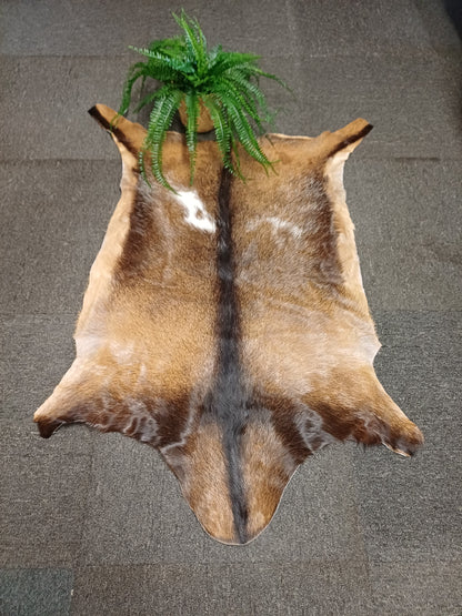 Goatskin