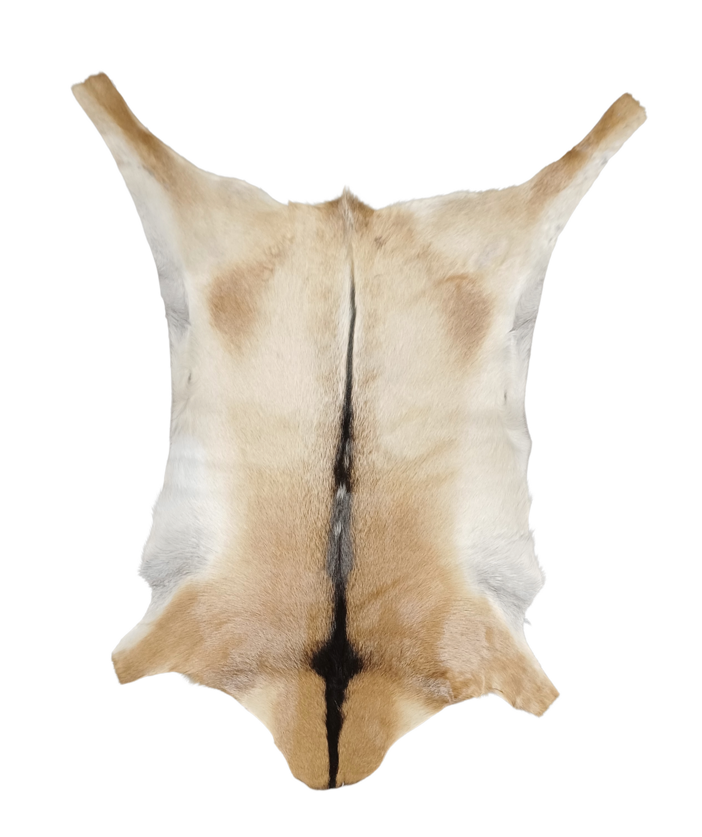 Goatskin