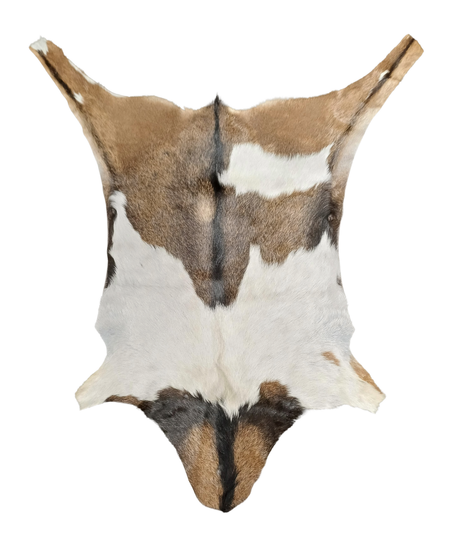 Goatskin